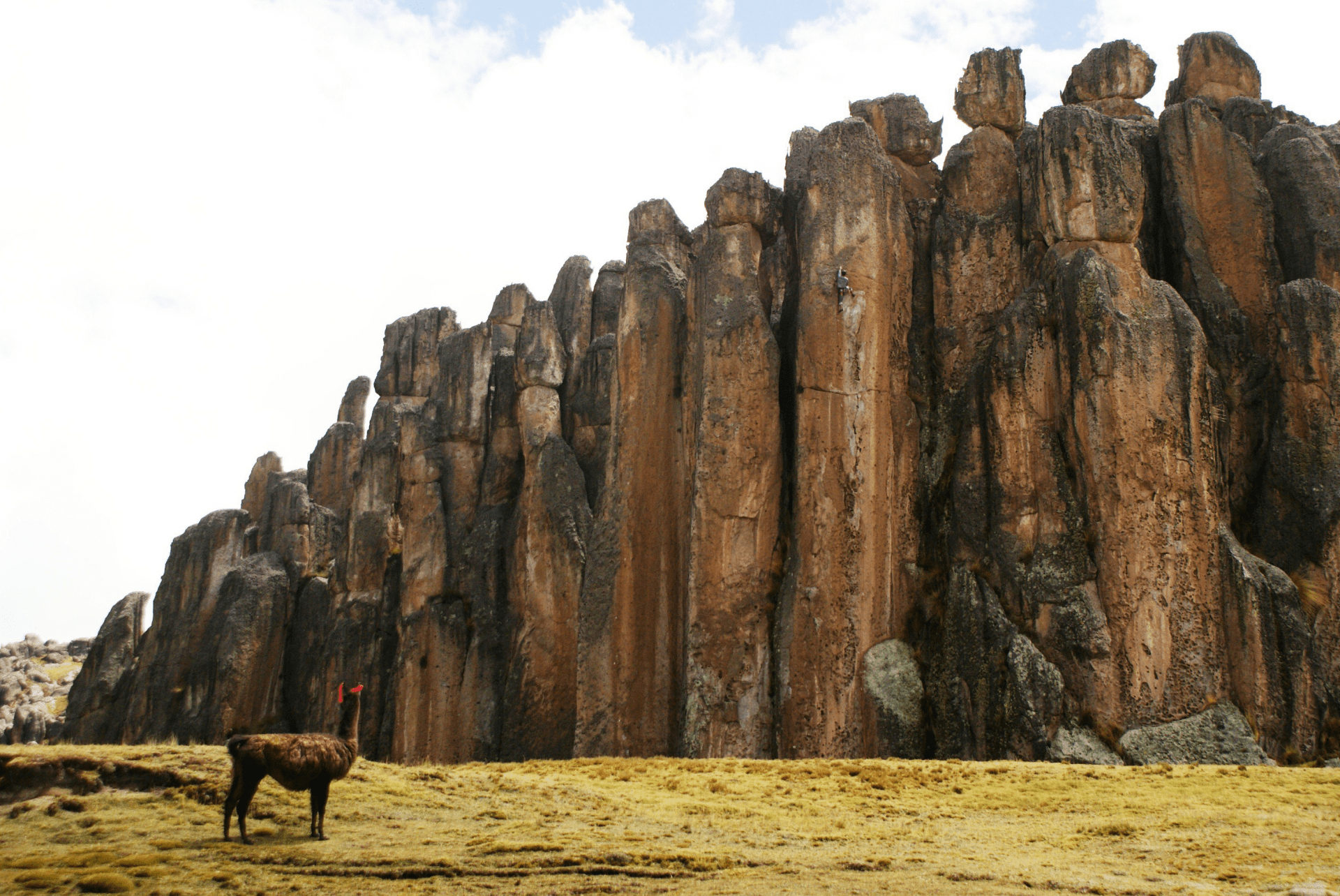 Bosque de Piedras