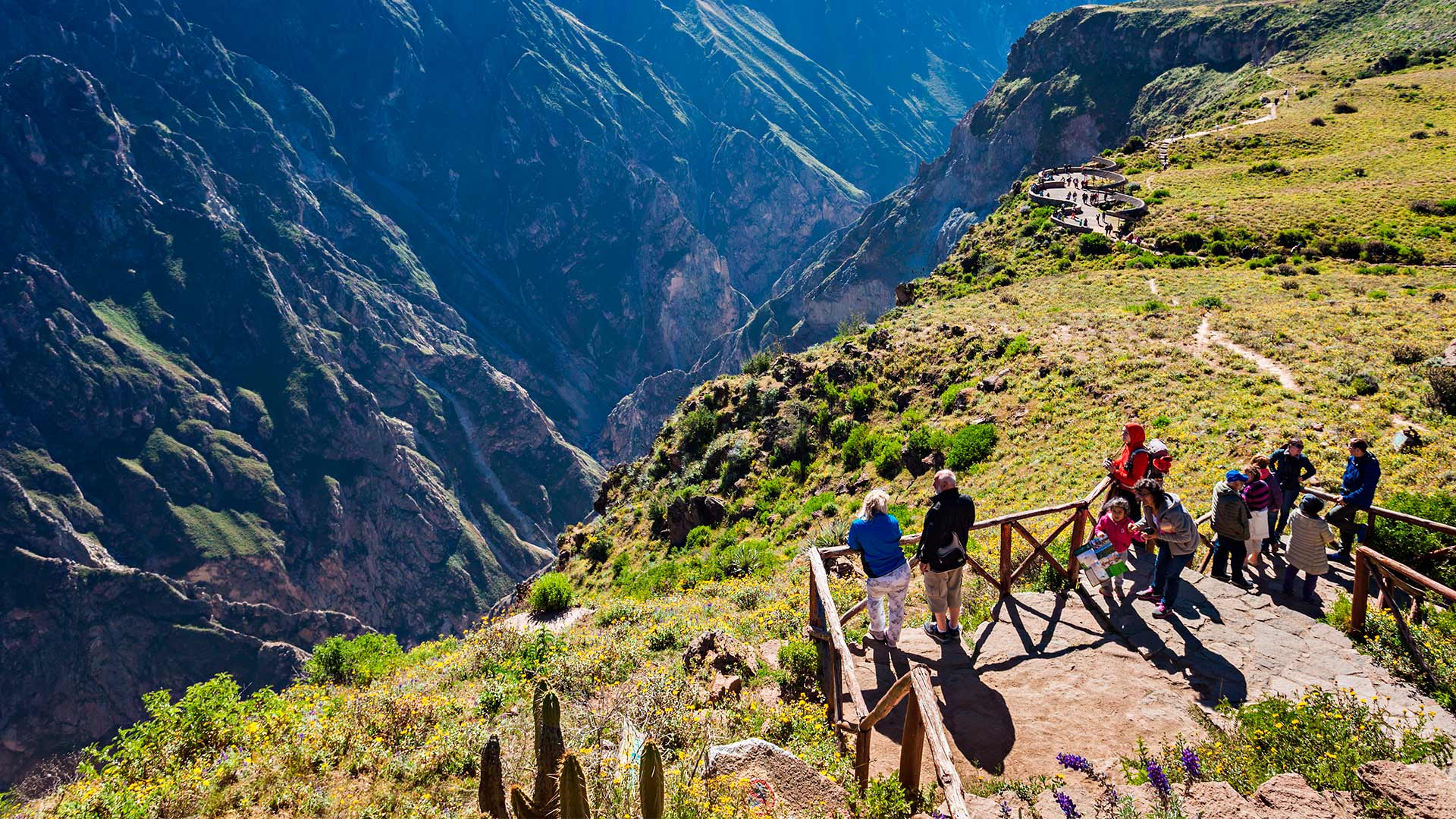 Mirador del Cóndor - Cañón del Colca